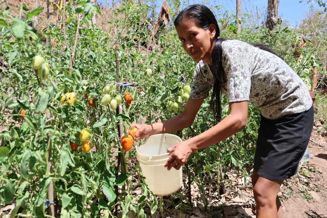 Small farmer in her diversified .webp